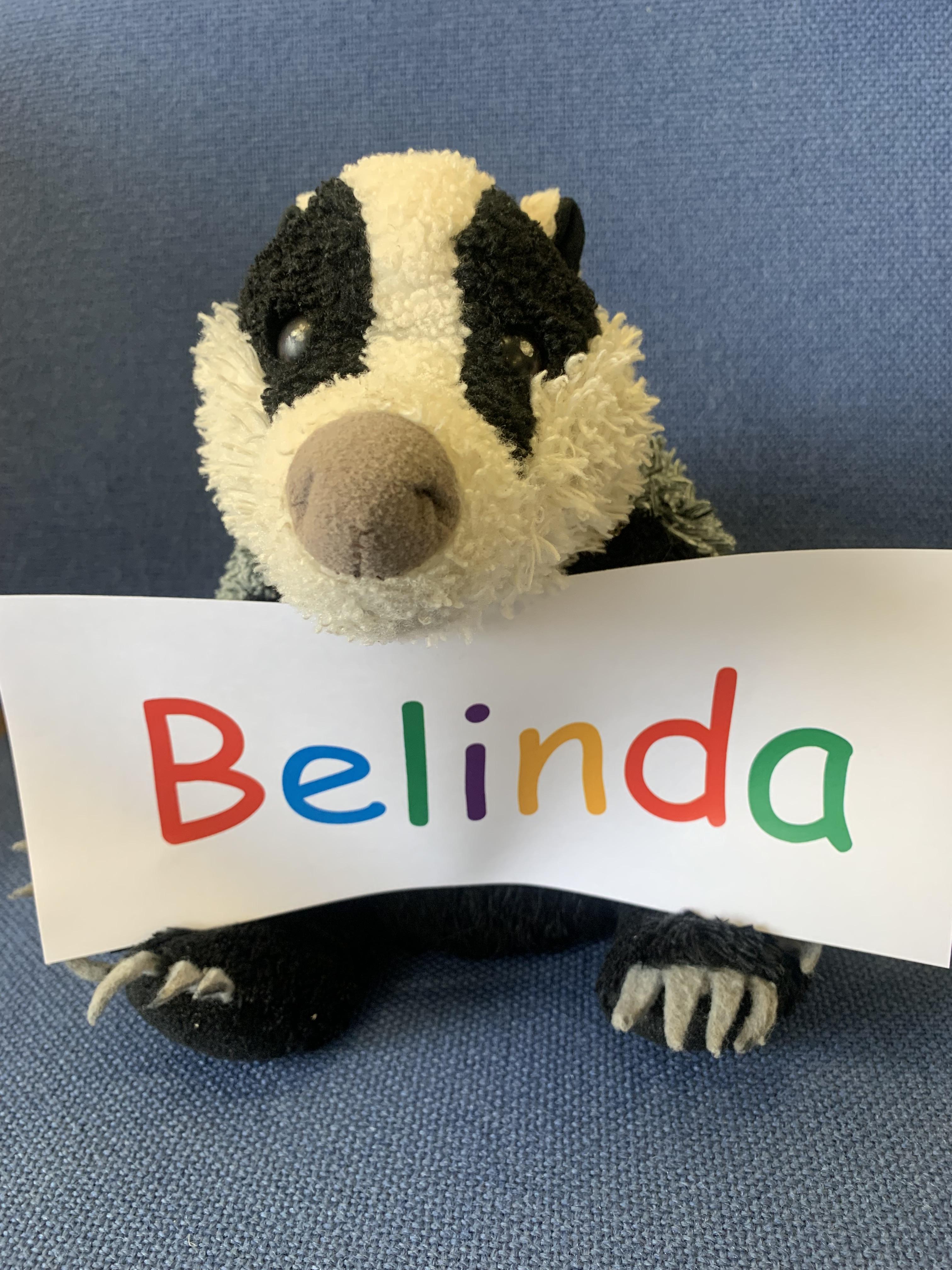 Our Class Mascot, Belinda Badger