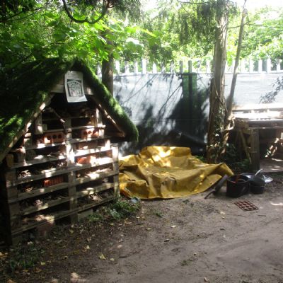 Our Woodland area