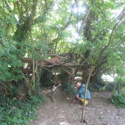 Having fun in the woodland area 